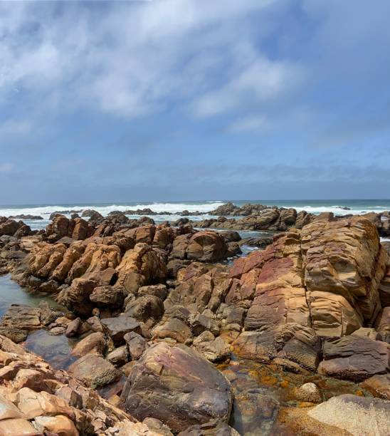 istock Garden route at South Africa 1740726412