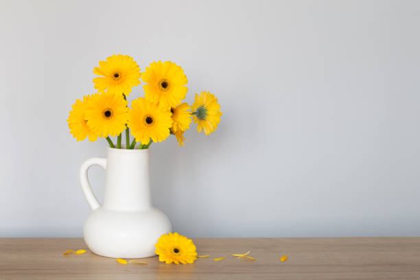 istock yellow gerbera in  white jug  on wooden shelf  on background wall 1740729422
