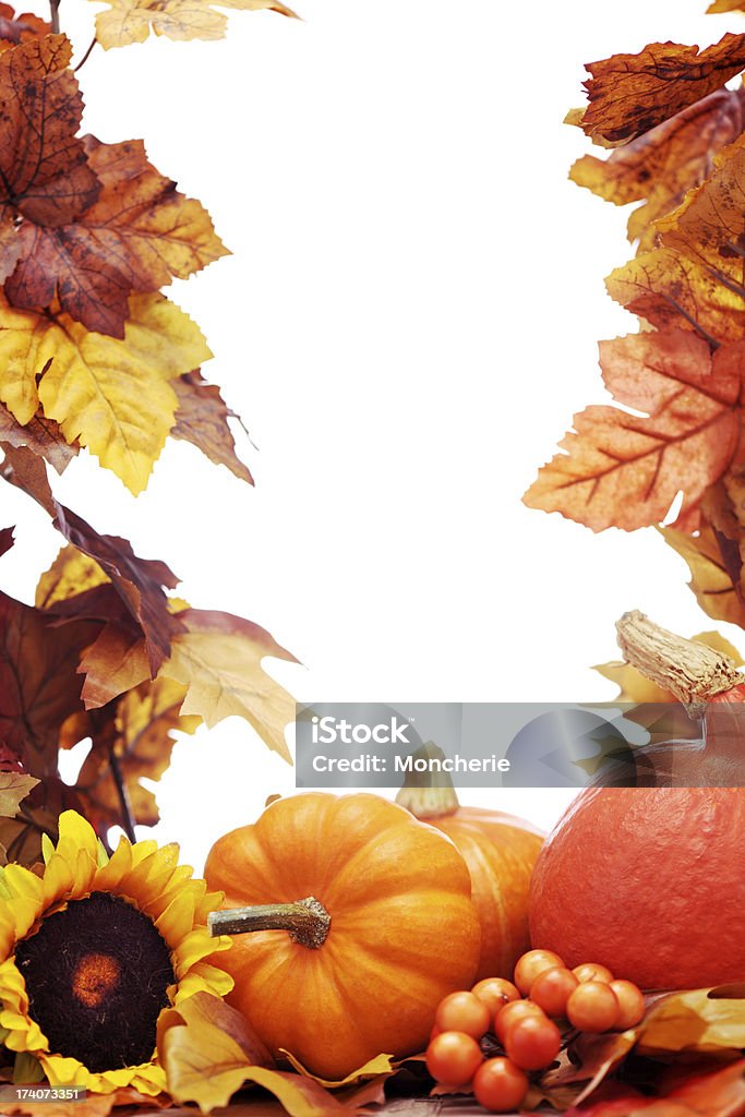 Decoración de otoño sobre blanco con espacio de copia - Foto de stock de Calabaza gigante libre de derechos
