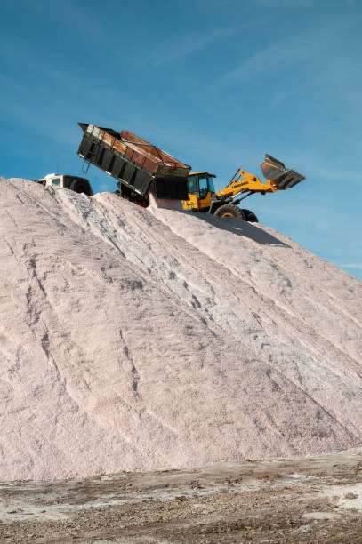 Trucks unloading raw salt bulk, Salinas
