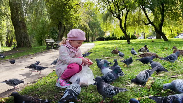 A girl feeds pigeons and ducks in the park