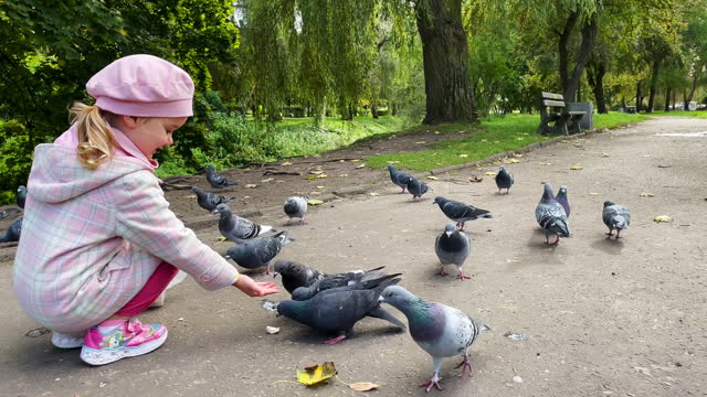 A girl feeds pigeons and ducks in the park