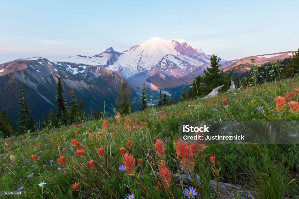 Mount Rainier łonie natury Sunrise - Zbiór zdjęć royalty-free (Góra Mount Rainier)