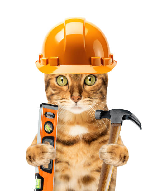 istock Funny cat in a construction helmet on a white background. 1740754699