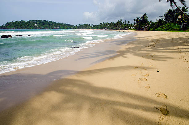 Bella spiaggia in Mirissa. Sri Lanka - foto stock