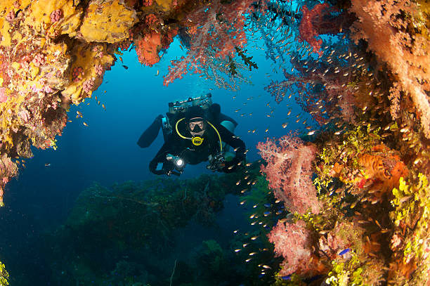 ダイバーにリーフカバーの難破船 - scuba diving flash ストックフォトと画像