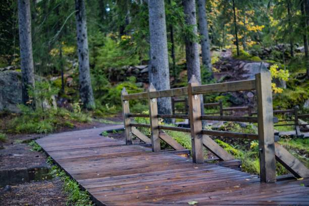 istock Wooden path in the park 1740767347