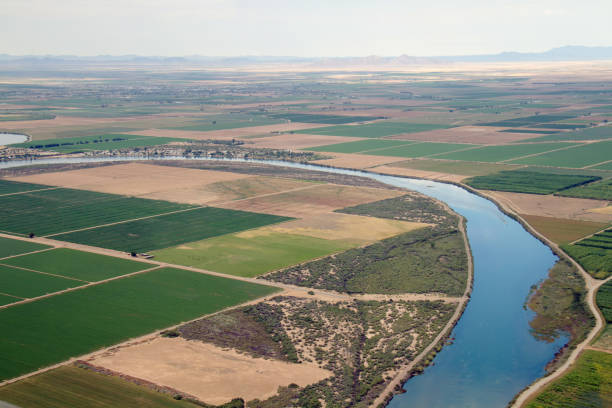 Farmland in Arizona and California Aerial view of irrigated farmland in California and Arizona along Colorado River. colorado river stock pictures, royalty-free photos & images