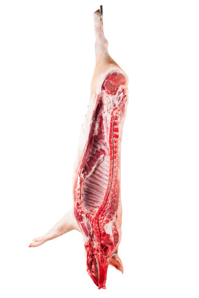 istock One half of pork 174078396