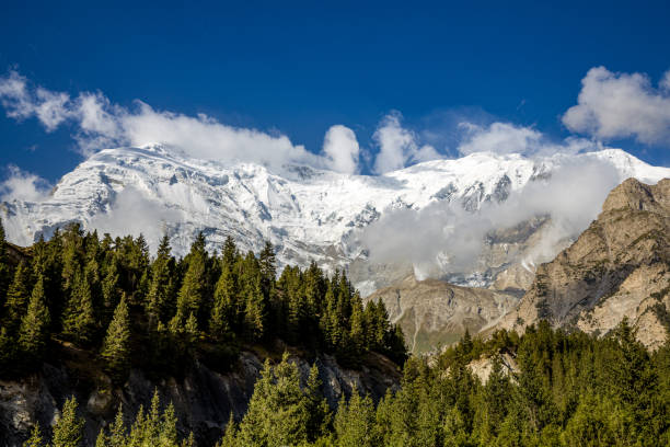 istock High mountain forests and snowy mountains under the blue sky 1740785567