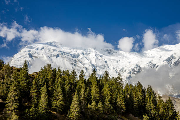 istock High mountain forests and snowy mountains under the blue sky 1740785710