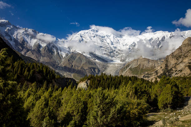 istock High mountain forests and snowy mountains under the blue sky 1740786271