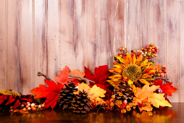 istock Tan background fall flowers, leaves and pine cones at bottom 174080176