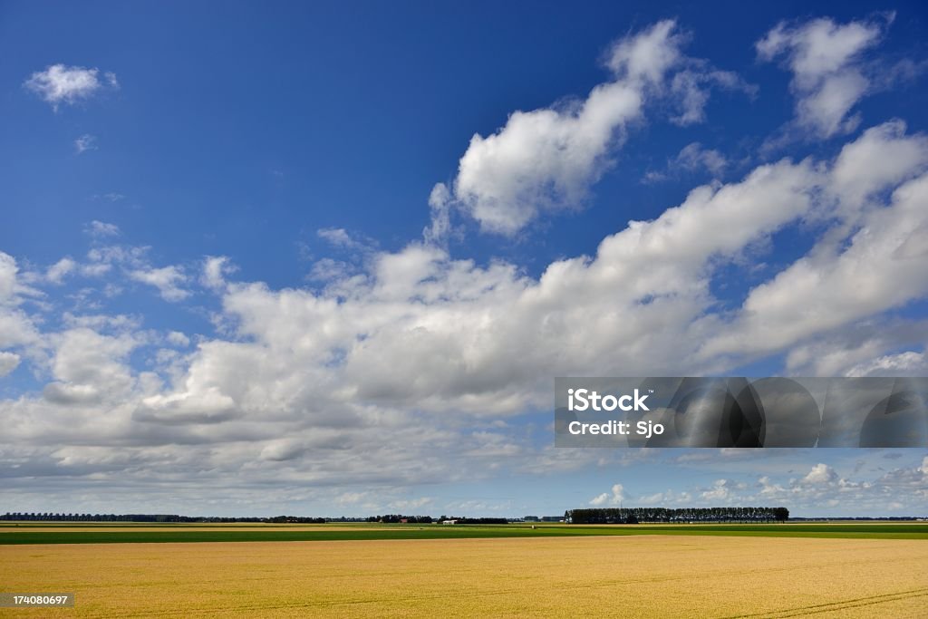 Flevolandnetherlands.kgm - Royalty-free Agricultura Foto de stock