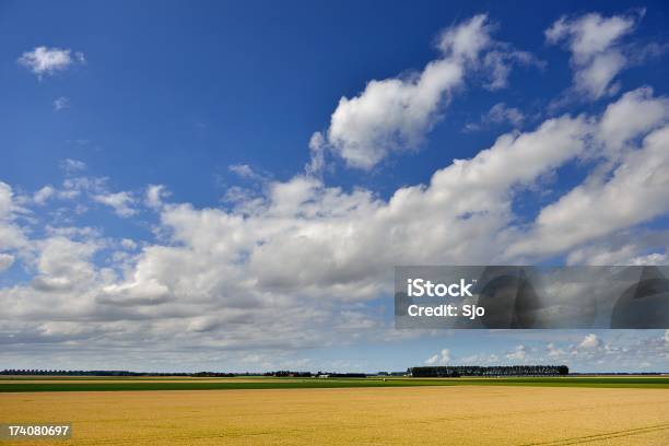 Flevolandnetherlandskgm - Fotografias de stock e mais imagens de Agricultura - Agricultura, Ao Ar Livre, Cenoura