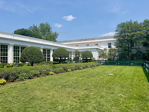 Jacqueline Kennedy Garden on the east side of the White House.President Biden's dog toy rolls around.