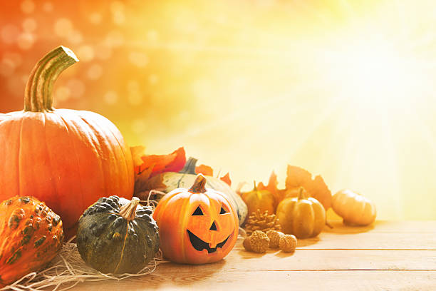 istock Autumn still life in bright sunlight 174080881