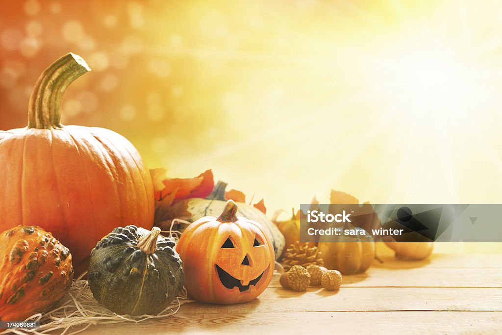Outono ainda vida com luz solar brilhante - Royalty-free Dia das Bruxas Foto de stock