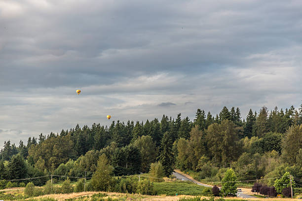 istock Hot air balloons float above a forested ridge 174080936