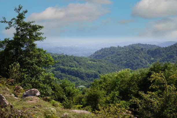 un bellissimo paesaggio foliato in una zona montuosa con un clima tropicale contro un cielo blu e nuvole bianche. - foliated foto e immagini stock