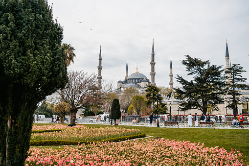 View of the Blue Mosque from the park in Istanbul, Turkey.