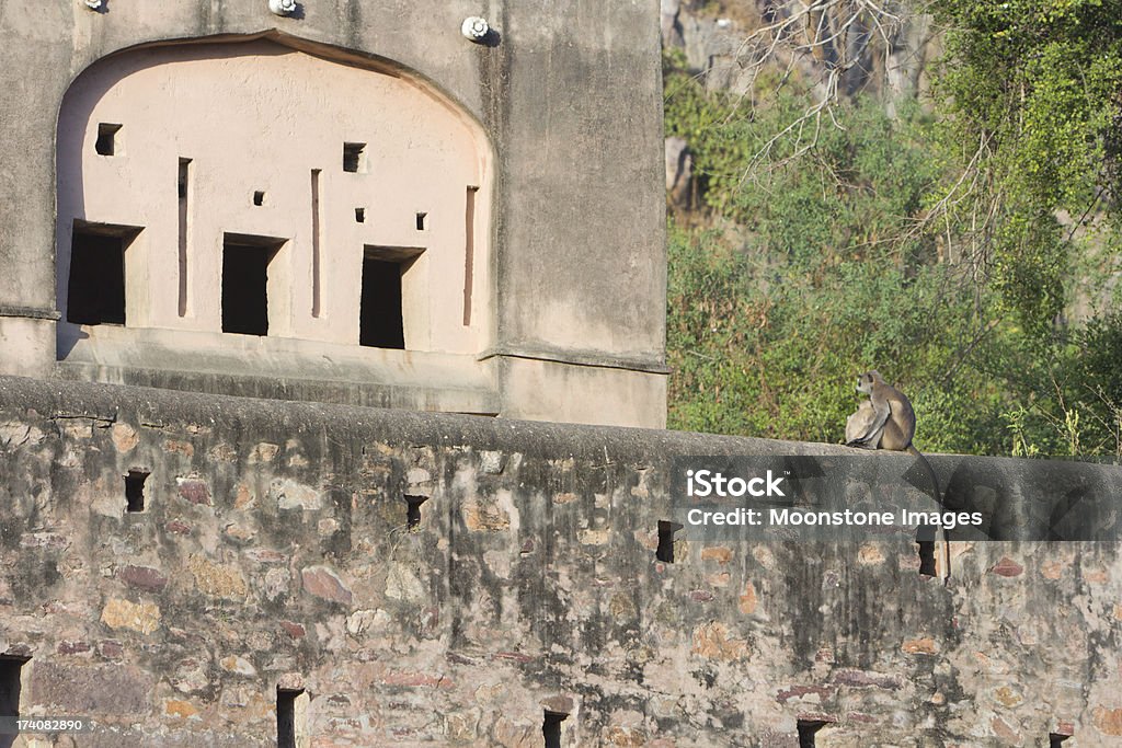 Ranthambhore Форт в Раджастхан, Индия - Стоковые фото Азиатско-Тихоокеанский регион роялт�и-фри