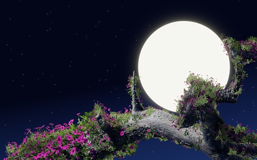 pink flower bush Fast growing Timelape style with full moon background, star bokeh. Flowers are growing on dry logs quickly. 3D Rendering