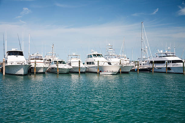 Luxury Yachts Luxury yachts docked at a marina. Key West Florida. marina stock pictures, royalty-free photos & images