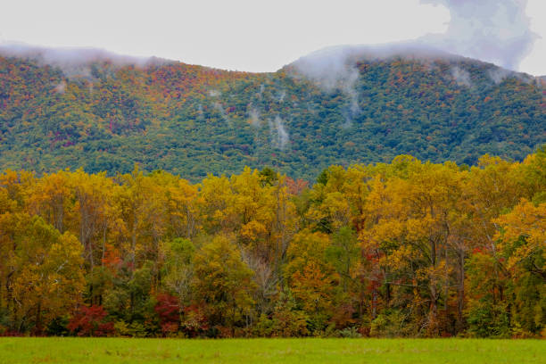 istock Fall colors in the Smokies 1740839438