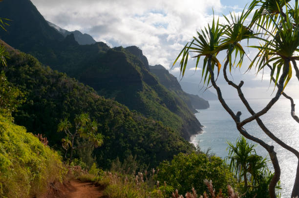 istock Na Pali Coast, Kauai, Hawaii 174084078