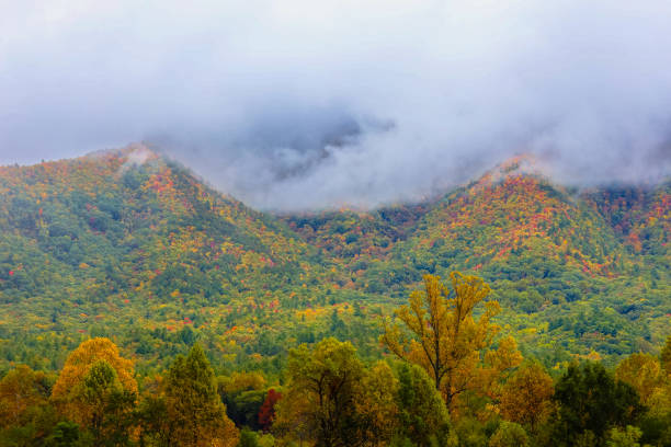 istock Fall colors in the Smokies 1740841509