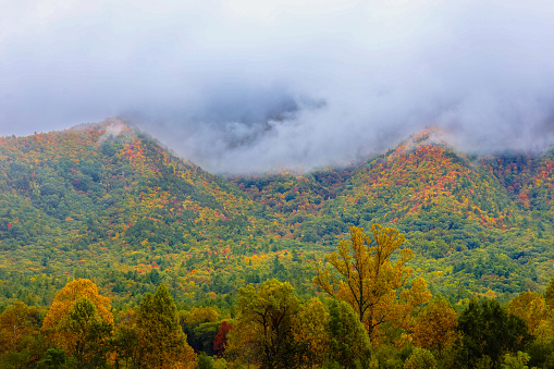 Fall colors in the Smokies