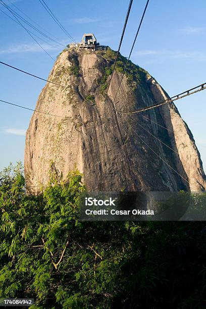 Zuckerhutberg Von Rio Stockfoto und mehr Bilder von Baum - Baum, Berg, Brasilien