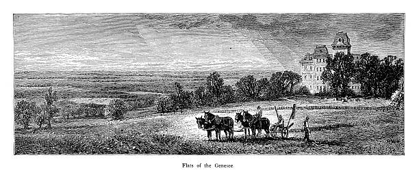 Flats of the Genesee River, USA | Historic American Illustrations "19th-century illustration of the flats of Genesee River, USA. Engraving published in Picturesque America (D. Appleton & Co., New York, 1872). MORE VINTAGE AMERICAN ILLUSTRATIONS HERE:" paradise pennsylvania stock illustrations