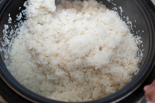 Sushi rice is cooked in a round pan. Cooked white rice.