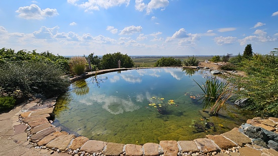 Round artificial pond with fish in the garden of a country house. Landscape design of parks.