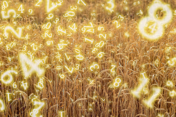 numerology, wheat field at sunset close-up surrounded by numbers, freedom concept