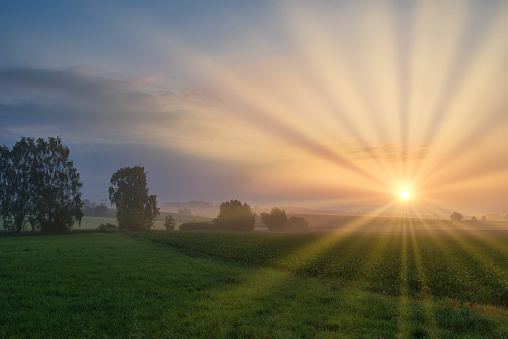 sunrays on a foggy summer morning