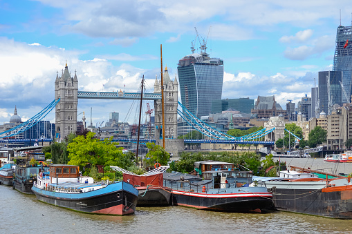 Bermondsey, London, UK - August 9th 2013: Located at Tower Bridge Moorings are the barges forming the Floating Gardens on the River Thames. In the background is Tower Bridge and the Walkie Talkie building.