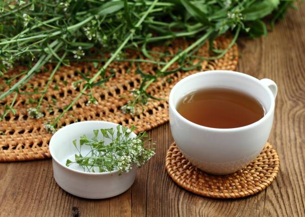 istock Herbal tea from herb Capsella bursa-pastoris, also known as  shepherd's purse 1740884142