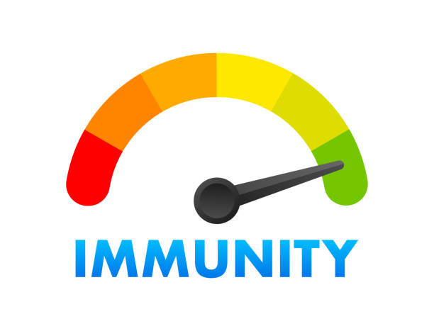 illustrations, cliparts, dessins animés et icônes de indicateur de niveau d’immunité, échelle de mesure. compteur de vitesse d’immunité, indicateur. illustration vectorielle - immune defence illustrations