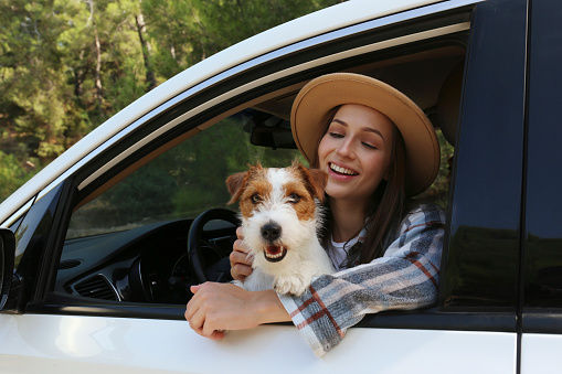 Beautiful young woman in the car with her adorable rough coated pup. Smiling female sitting in the driver seat with her jack russel terrier and looking out the window. Close up, copy space, background