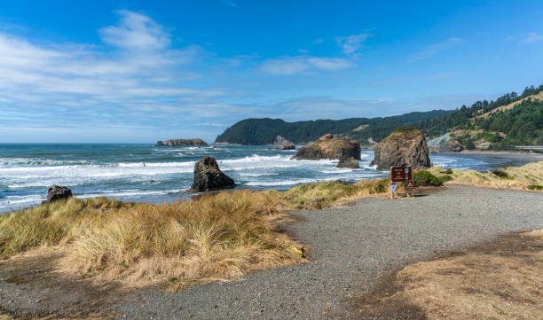 istock Oregon Meyers Creek Beach 1740900899