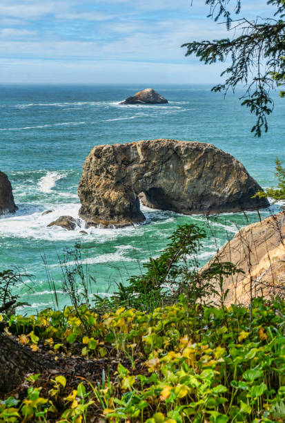 istock Oregon Sea Land Arch 2 1740902761