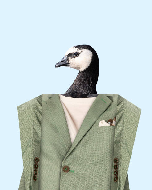 istock Head of poultry, Barnacle Goose in stylish retro jacket over light blue background. Contemporary art collage. 1740911762