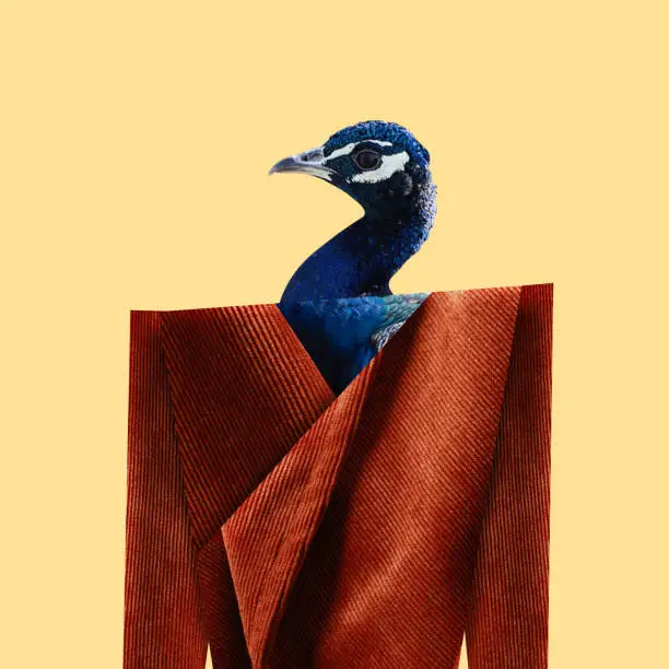 Photo of Head of peacock in elegant, retro, orange jacket over yellow background. Vintage style. Contemporary art collage.