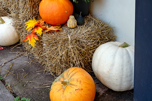 Halloween pumpkins on the doorstep of a North American home.