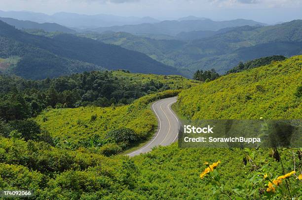 Foto de Estrada De Asfalto Nítidas Scurve e mais fotos de stock de Amarelo - Amarelo, Beleza natural - Natureza, Botânica - Assunto