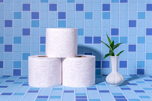A roll of white toilet paper in the bathroom. Blue tile background. Body care. Zero waste.