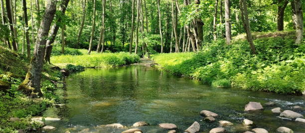 istock Summer park landscape with a flowing river. 1740941079